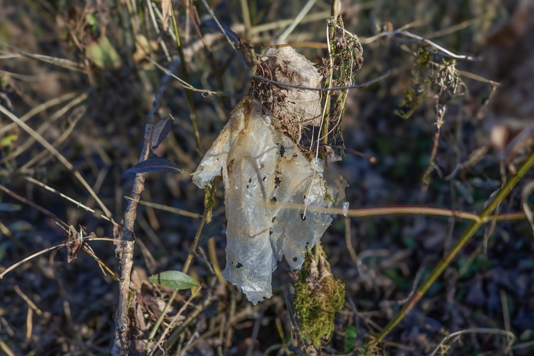 Photo pollutants